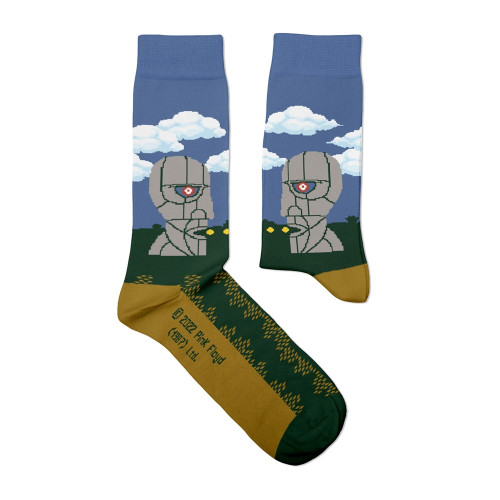 Pink Floyd 'Division Bell' (Multicoloured) Socks