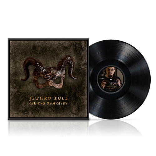 Jethro Tull 'Curious Ruminant' LP 180g Gatefold Black Vinyl