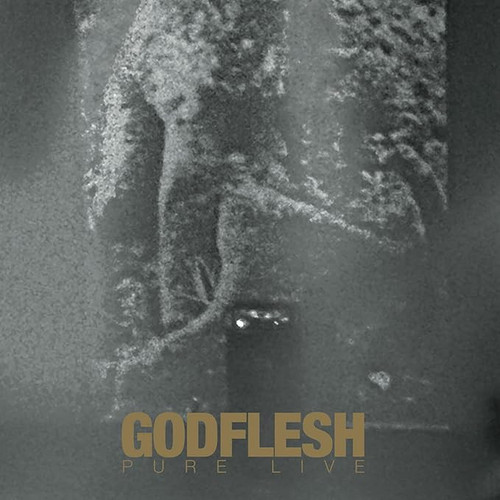 Godflesh 'Pure: Live' CD Digipack