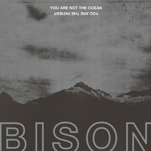 Bison 'You Are Not The Ocean You Are The Patient' CD