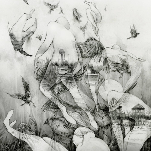 Mono 'The Last Dawn' CD