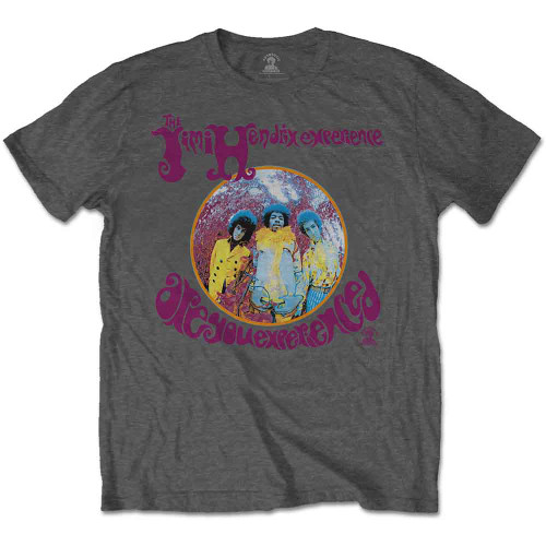 Jimi Hendrix 'Are You Experienced' (Grey) T-Shirt