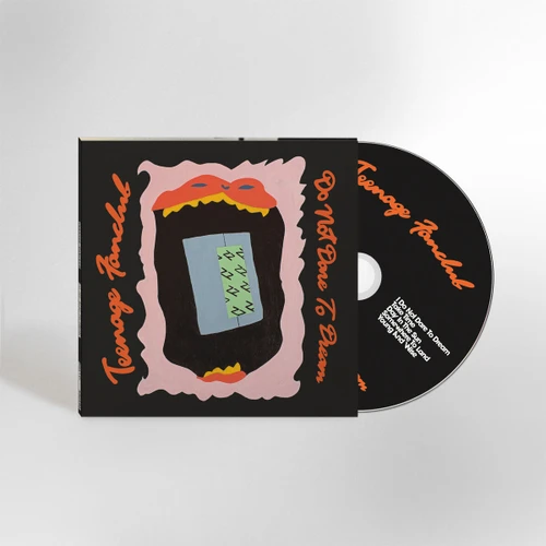 PRE-ORDER - Teenage Fanclub 'Do Not Dare To Dream' CD - RELEASE DATE 9th OCTOBER2026