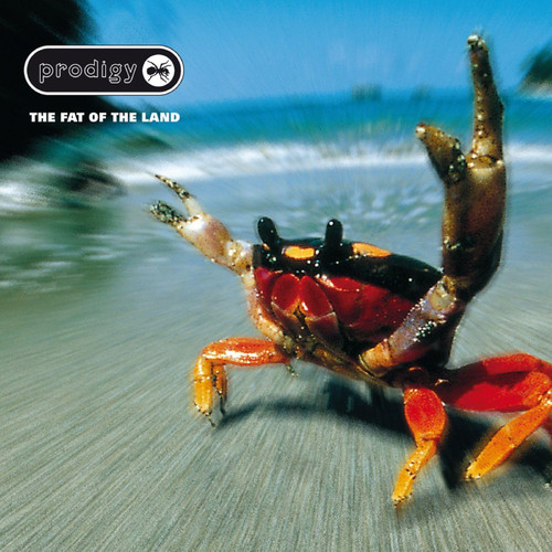 Prodigy 'Fat Of The Land' Digisleeve CD