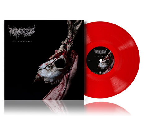PRE-ORDER - Mental Cruelty 'Echoes of a Forlorn Land' LP Transparent Red Vinyl - RELEASE DATE 23rd October 2026
