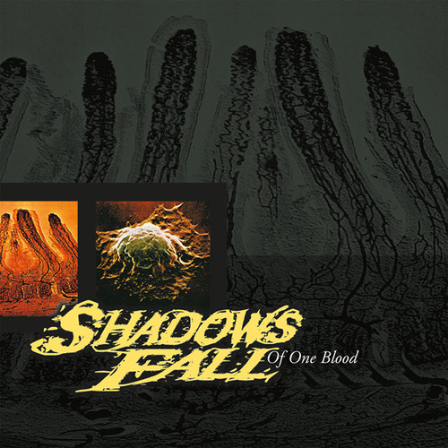 PRE-ORDER - Shadows Fall 'Of One Blood' CD - RELEASE DATE 23rd October 2026