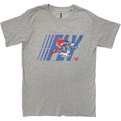 DC Comics 'Fly' (Grey) T-Shirt