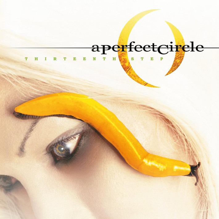 A Perfect Circle 'Thirteenth Step' 2LP 180g Black Vinyl