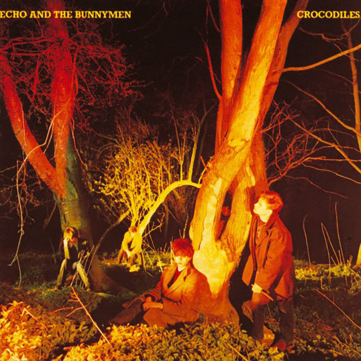 Echo & The Bunnymen 'Crocodiles' LP 180g Black Vinyl