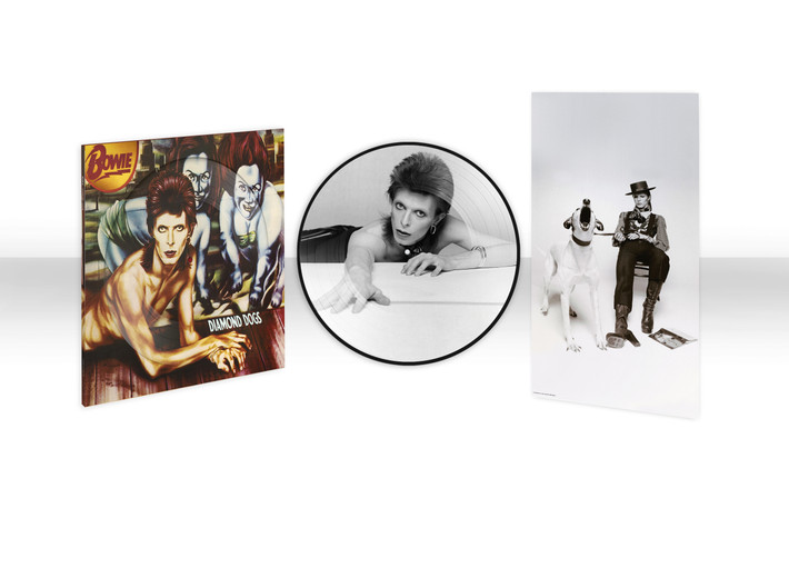 PRE-ORDER - David Bowie 'Diamond Dogs' (50th Anniversary) LP Picture Disc Vinyl - RELEASE DATE 24th May 2024