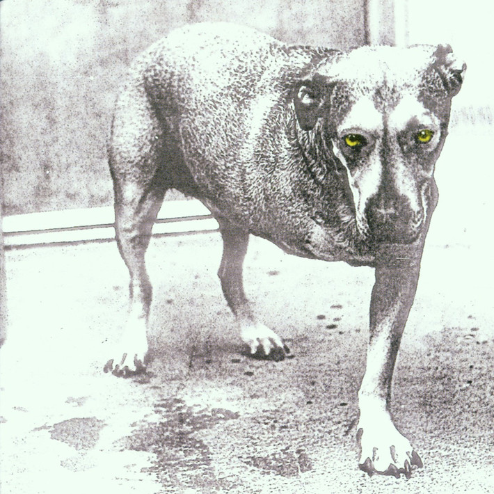 Alice In Chains 'Alice In Chains' CD Jewel Case