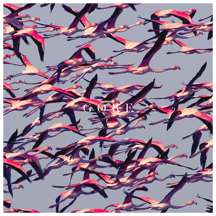 Deftones 'Gore' CD Digisleeve