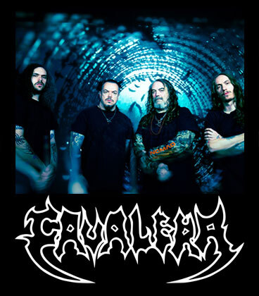 A link to our Cavalera category