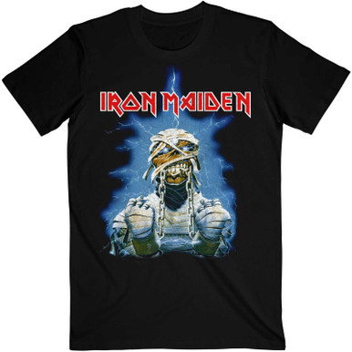 Iron-Maiden-World-Slavery-Tour