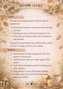 Autumn Leaves & Separation Learning Cards (10 Cards)
