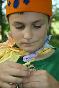 June Preschool/Kindergarten At-Home Program June Preschool/Kindergarten At-Home Program
