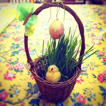 Homegrown Easter Basket 