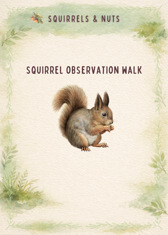 Squirrels & Nuts Learning Cards