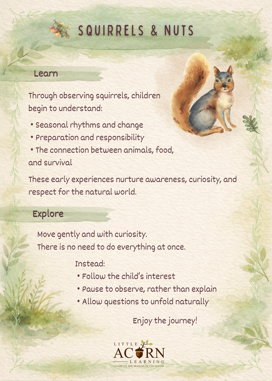 Squirrels & Nuts Learning Cards (10 Cards)