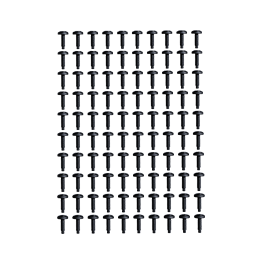 100 Pack - Rack Screw