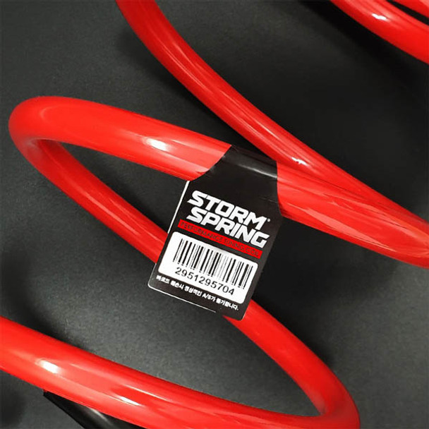 STORM tuning spring for PALISADE HYUNDAI MOTORS