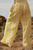 Sabbi - The Mexicola Pant - Yellow