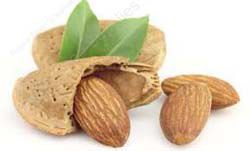 Sweet Almond Oil