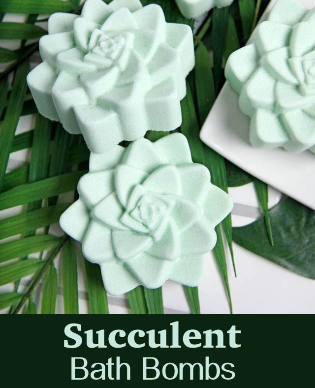 Succulent Bath Bomb Project