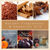Autumn Fragrances & Essential Oils