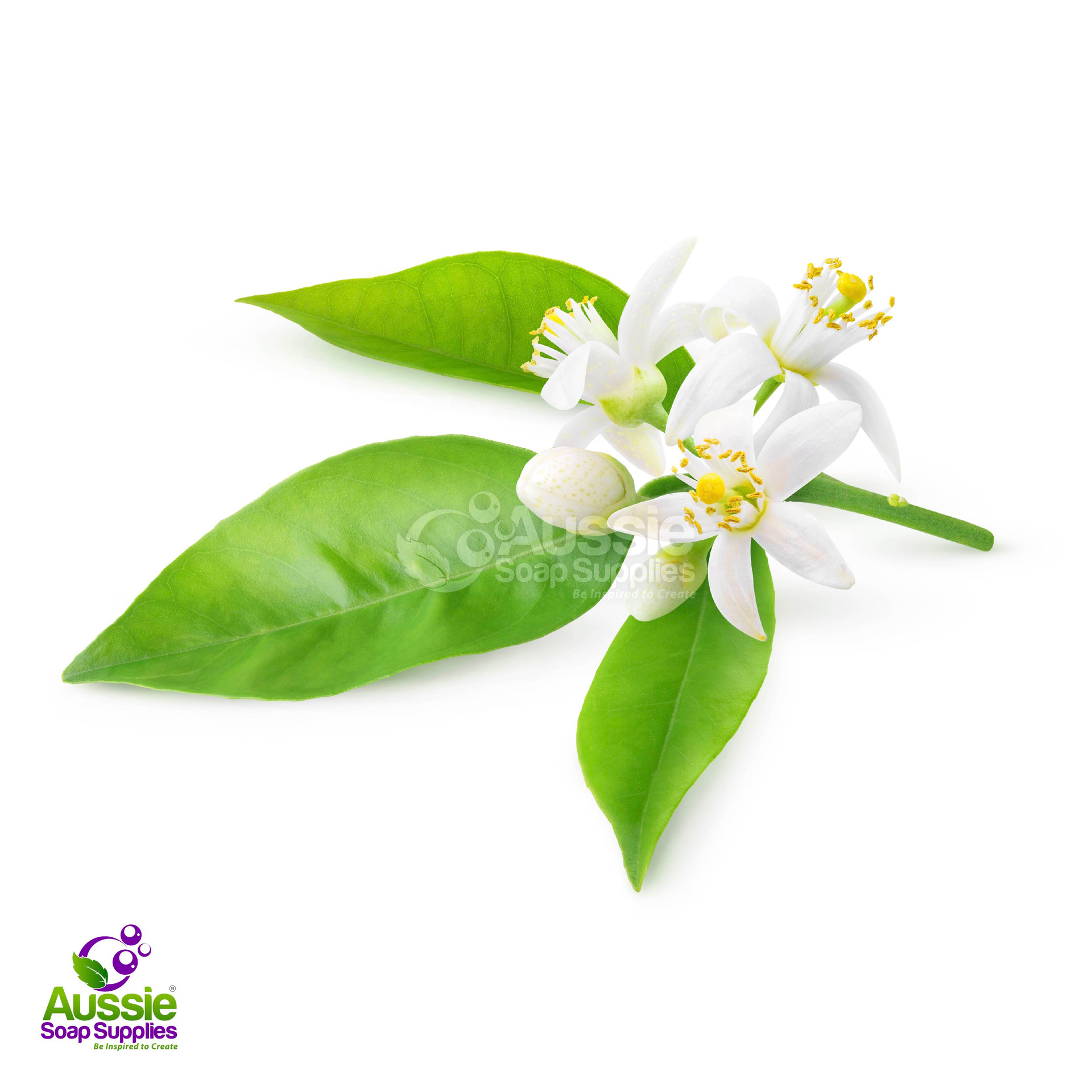 Shop Products Ingredients and Raw Materials Floral Waters Aussie