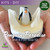 Penguin Paradise melt and pour soap kit for soap making, diy soap making kit