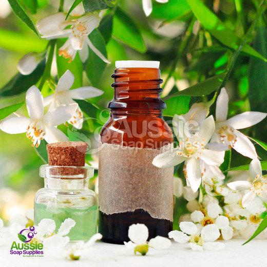 Jasmine Essential Oil 10% in Jojoba 