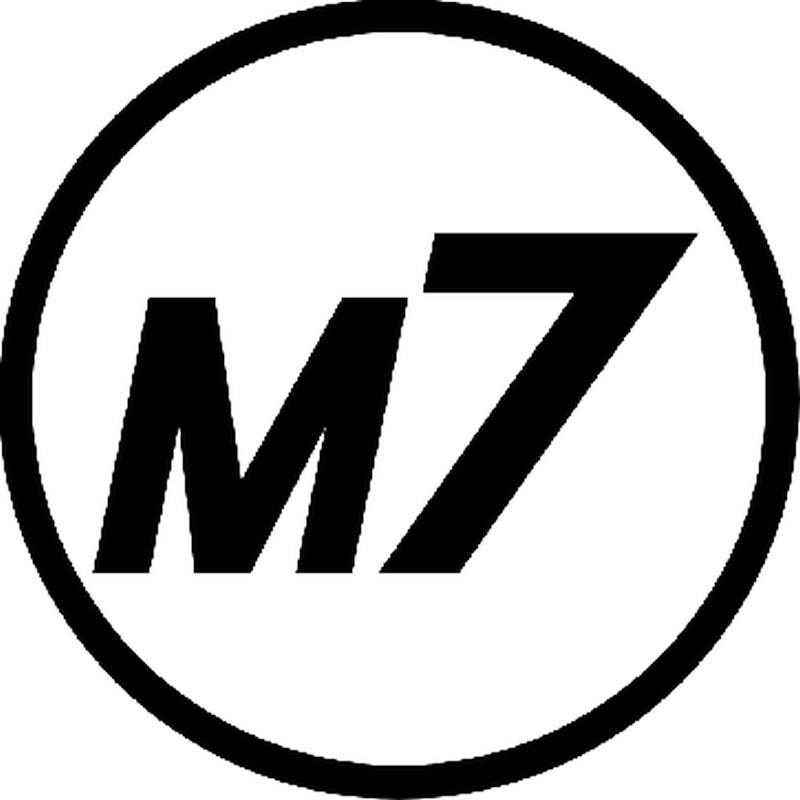 M7 Speed Large 22" Decals | Matte Silver | Set of 2
