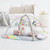 Skip Hop Silver Linings Cloud Activity Gym Others