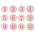 Adore every moment of baby’s first year with Pearhead’s original first year belly stickers