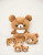 San-X Plush Doll Rilakkuma Chairokoguma (Brown Small Bear) Size L - A new character from SAN-X, and the name is Chairoikoguma, it live in the Honey Forest, compared to Rilakkuma, it truly a Bear with no zipper.