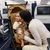 Cybex Libelle Stroller - The new Libelle buggy has one of the world’s smallest compact folds for easy travelling by car, train and plane. Now featuring a one-pull harness.