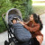 Romer Winter Footmuff and Mittens for Tura Stroller Peppercorn  - The Romer® Winter Kit offers the ultimate blend of comfort and style for a refined strolling experience. Romer Winter Footmuff and Mittens for Tura Stroller Peppercorn  - The Romer® Winter Kit offers the ultimate blend of comfort and style for a refined strolling experience.