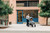 UPPAbaby VISTA V3 Stroller - The UPPAbaby VISTA V3 is a versatile and stylish full-size stroller system, designed to adapt seamlessly to your UPPAbaby VISTA V3 Stroller - The UPPAbaby VISTA V3 is a versatile and stylish full-size stroller system, designed to adapt seamlessly to your