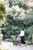 UPPAbaby MINU V3 Stroller - Make travels near and far hassle-free with the Minu V3, your go-to, from-birth travel stroller.