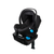 Clek Liing Infant Car Seat C-Zero Plus Performance Clek Gears