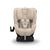UPPAbaby Rove Convertible Car Seat - Its QuickGuard installation system offers an effortless 3-step setup. Wrapped in plush fabrics and cushioning, this lightweight seat grows with your child from infancy to early school years.
