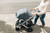 UPPAbaby VISTA V3 Stroller - The UPPAbaby VISTA V3 is a versatile and stylish full-size stroller system, designed to adapt seamlessly to your
