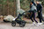 UPPAbaby Ridge V2 Stroller - The Ridge V2 is built for parents who approach everyday life with momentum.