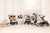 UPPAbaby Minu Duo Double Stroller - a from-birth, side-by-side compact stroller that fits a wide variety of two-child families, from twins to infant and toddler combinations.