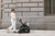 UPPAbaby Kona Stroller - The UPPAbaby Kona is a compact city stroller designed for the pace of everyday life, delivering the versatility parents expect in a lighter, more nimble footprint.