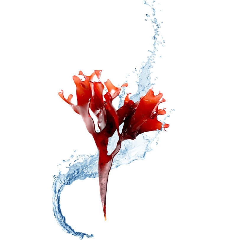 Foreo UFO Activated Mask Make My Day 7P 6 Foreo UFO Activated Mask Make My Day 7P -Baby Care Shop 69