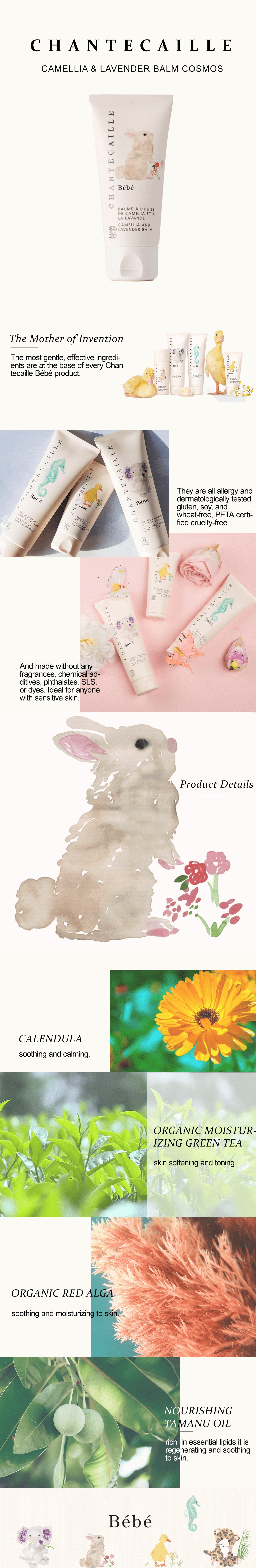 Chantecaille Camellia & Lavender Balm Cosmos 50ml 2 Chantecaille Camellia & Lavender Balm Cosmos 50ml -Baby Care Shop babycosmos