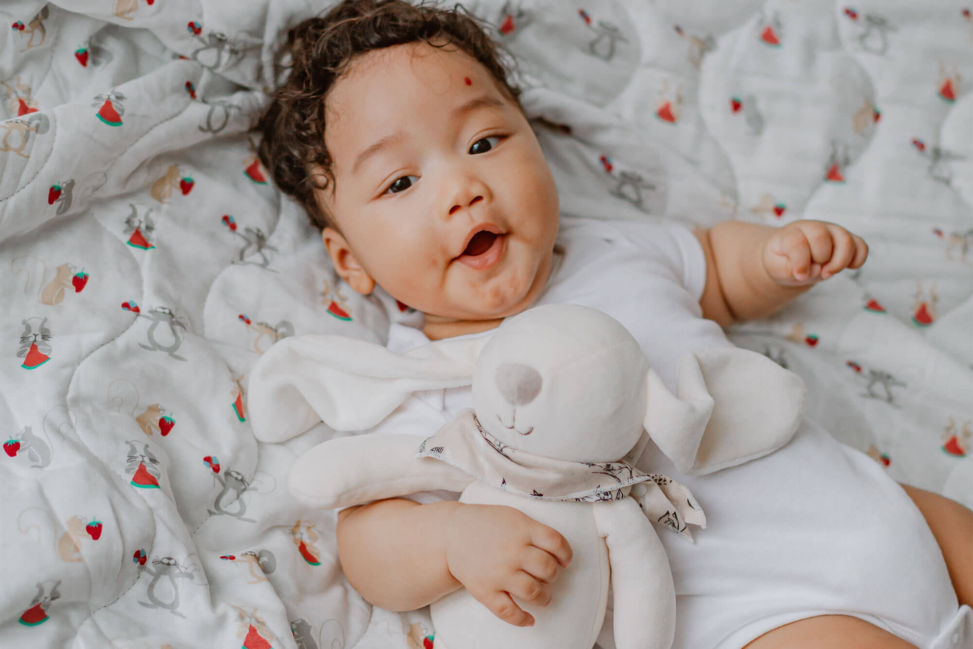 Nest Designs Bamboo Duvet Cover Squirrely -Baby Care Shop dcmj60sqs 8