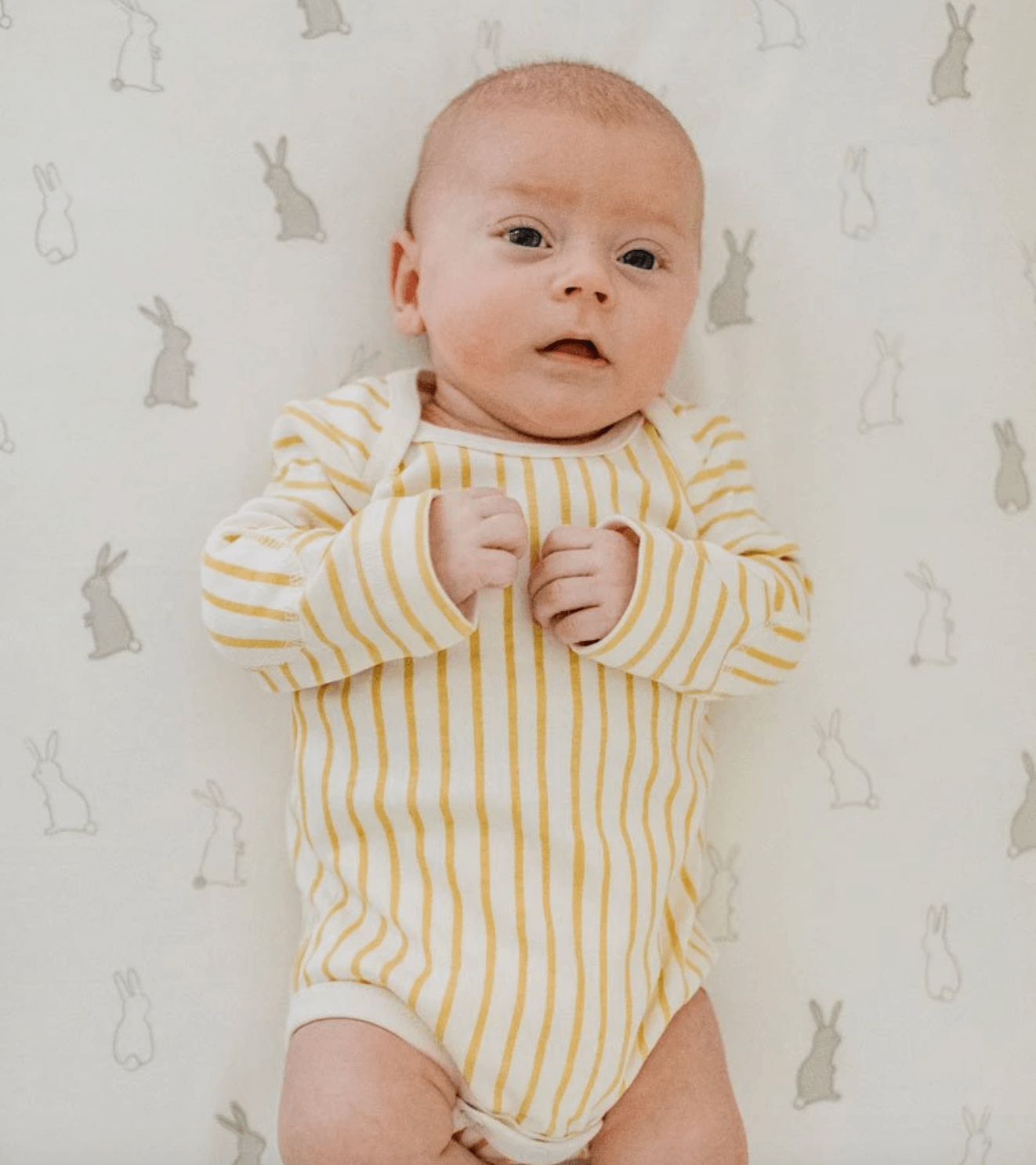 Pehr Crib Sheets Bunny Hop 2 Pehr Crib Sheets Bunny Hop -Baby Care Shop wx20210226 120151